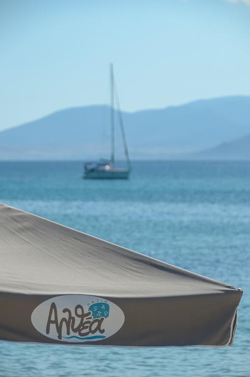 Naxian Althea Daire Agia Anna  Dış mekan fotoğraf